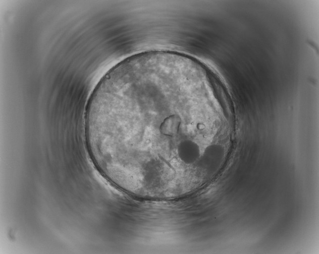 X0000102410903200808221909