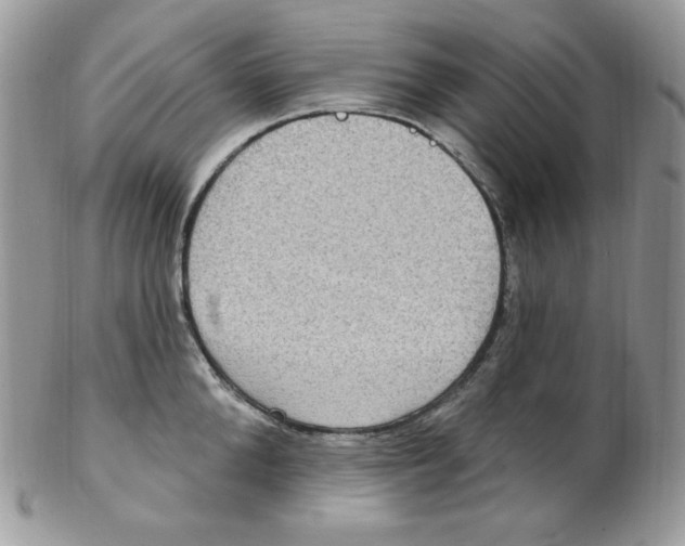 X0000102410904200808221909