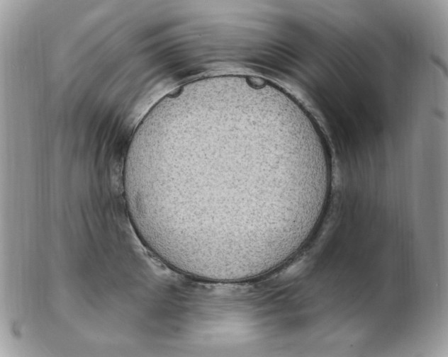 X0000102410905200808221909