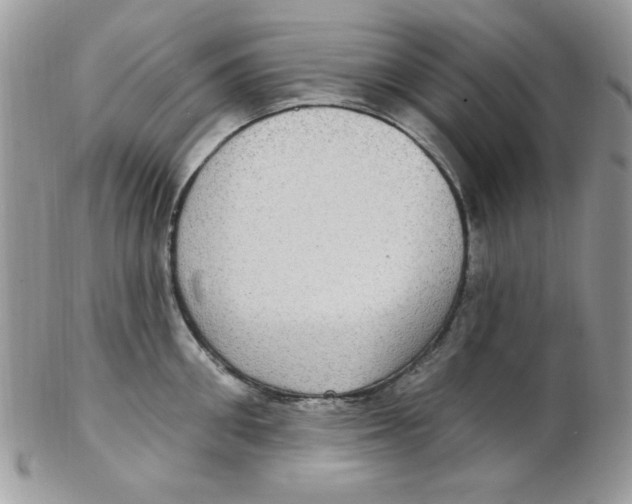 X0000102410906200808221909