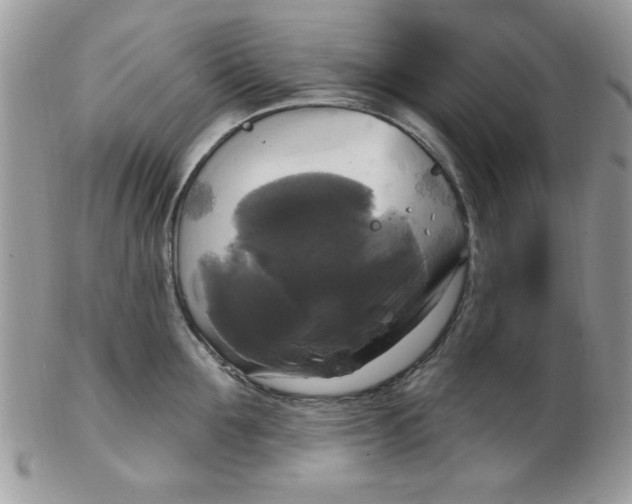 X0000102410907200808221909