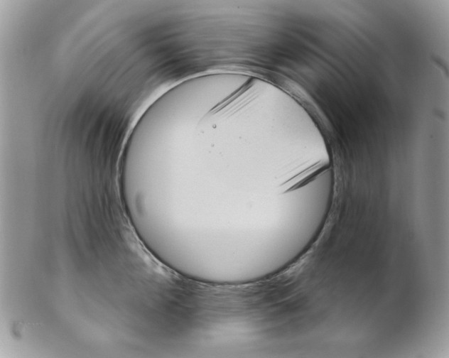 X0000102410908200808221909