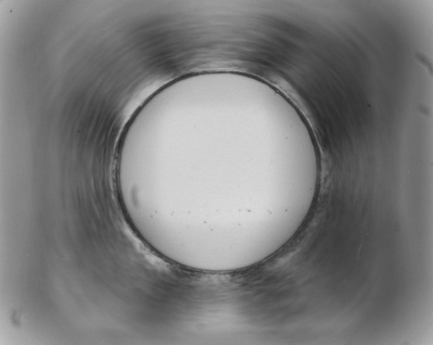 X0000102410909200808221909