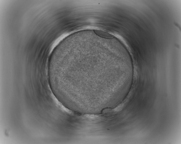 X0000102410910200808221909