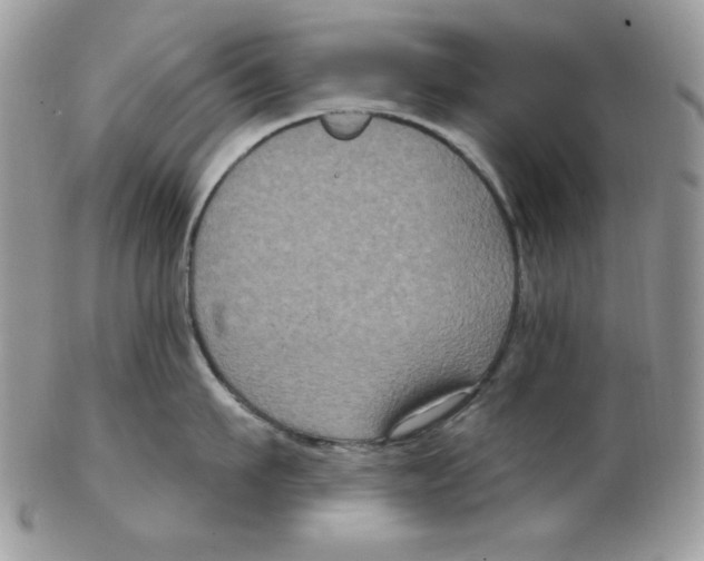 X0000102410911200808221909