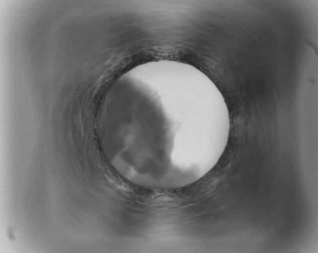 X0000102410913200808221908