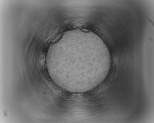 X0000102410914200808221908