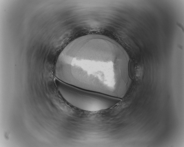 X0000102410916200808221908