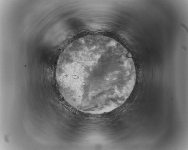 X0000102410917200808221908