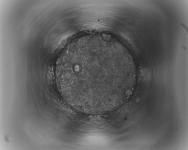 X0000102410918200808221908