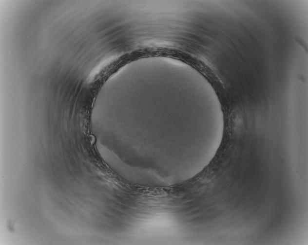 X0000102410919200808221908