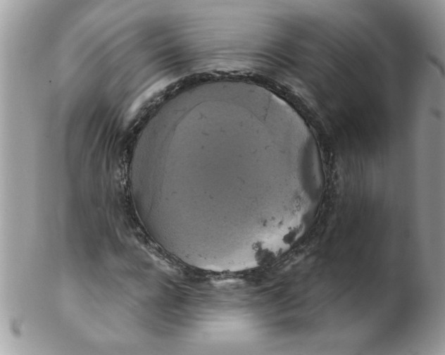 X0000102410920200808221908