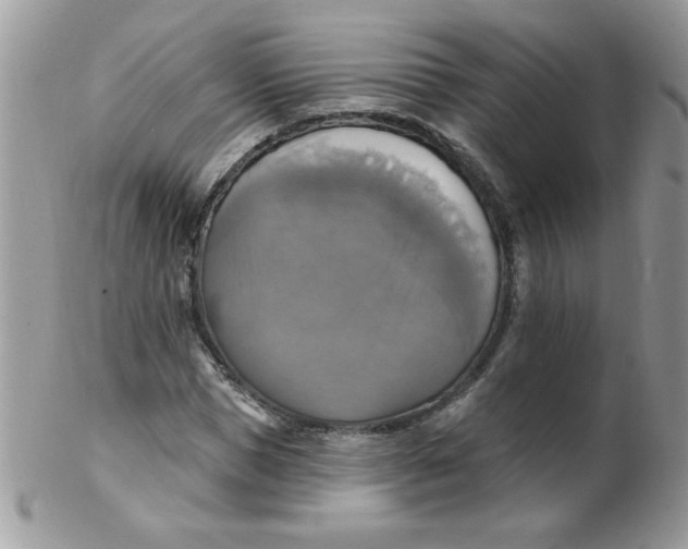 X0000102410921200808221908