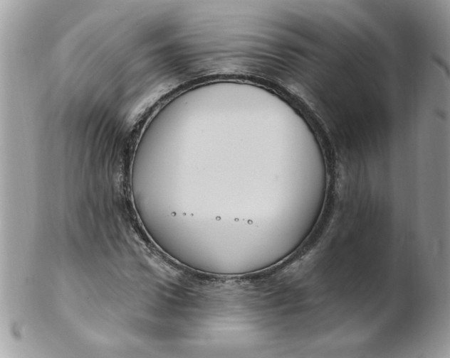 X0000102410922200808221908