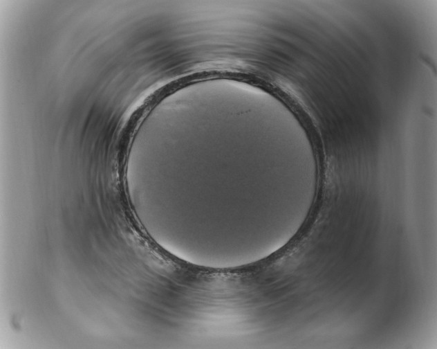 X0000102410923200808221908