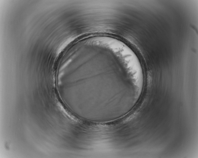 X0000102410925200808221908