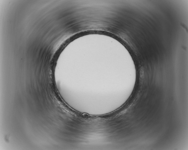 X0000102410926200808221908