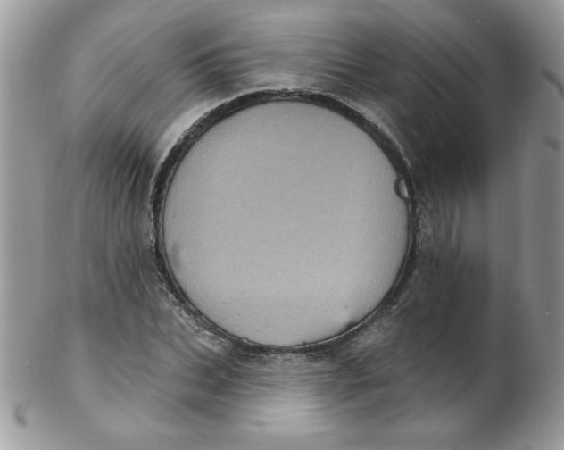 X0000102410927200808221908