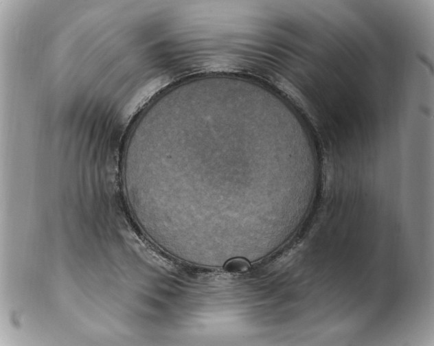 X0000102410930200808221908