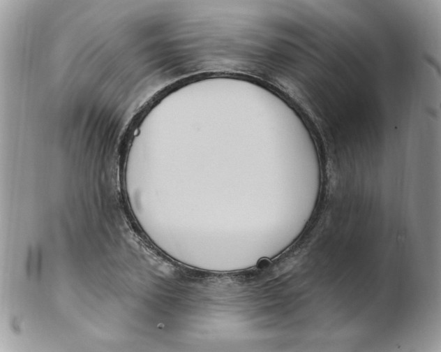 X0000102410931200808221908