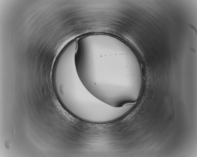 X0000102410932200808221908