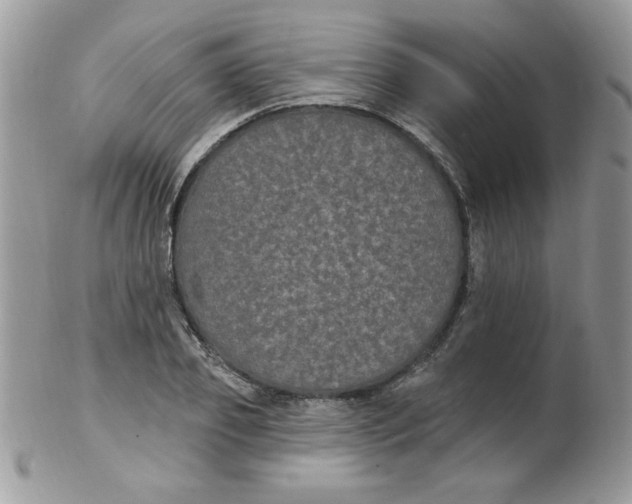 X0000102410933200808221908