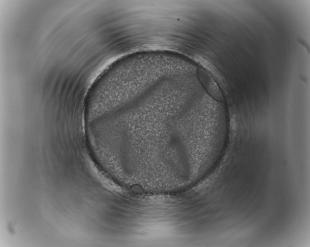 X0000102410934200808221908