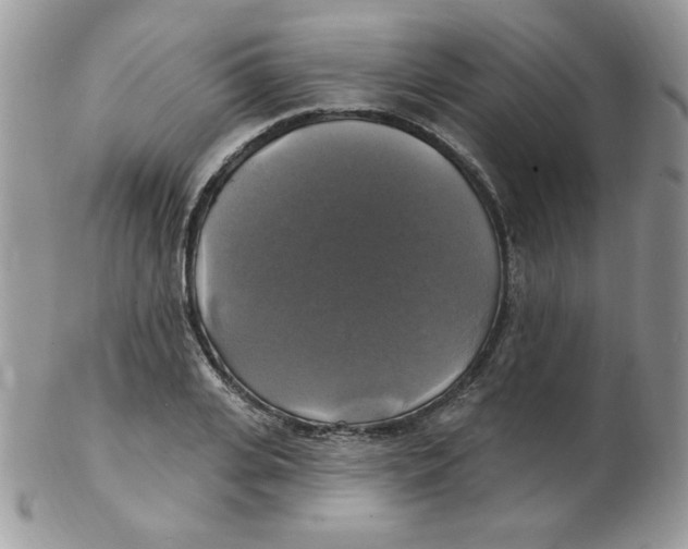 X0000102410935200808221908