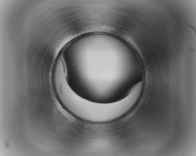 X0000102410936200808221908