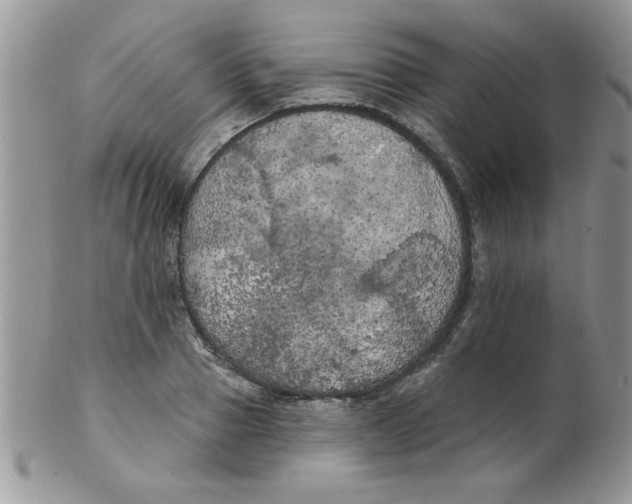 X0000102410937200808221908