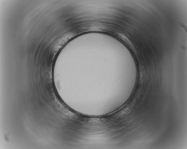 X0000102410938200808221908