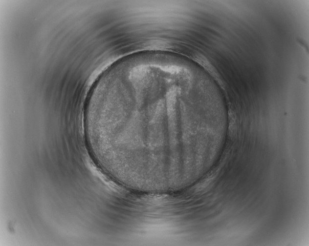 X0000102410939200808221908