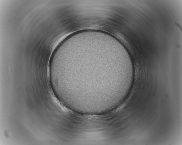 X0000102410940200808221908