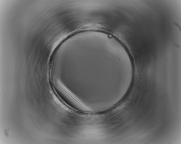 X0000102410941200808221908