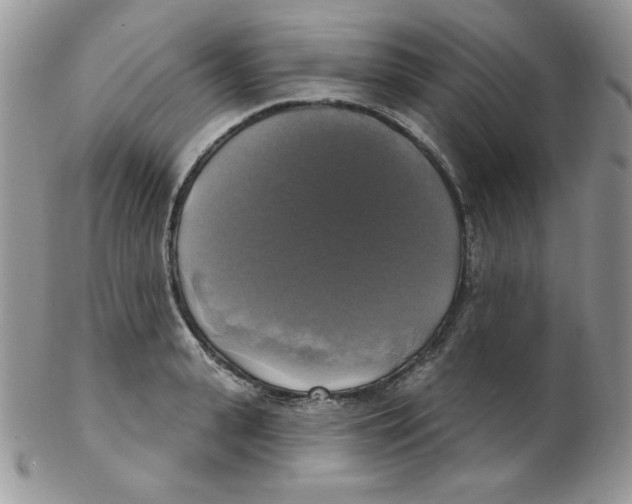 X0000102410943200808221908