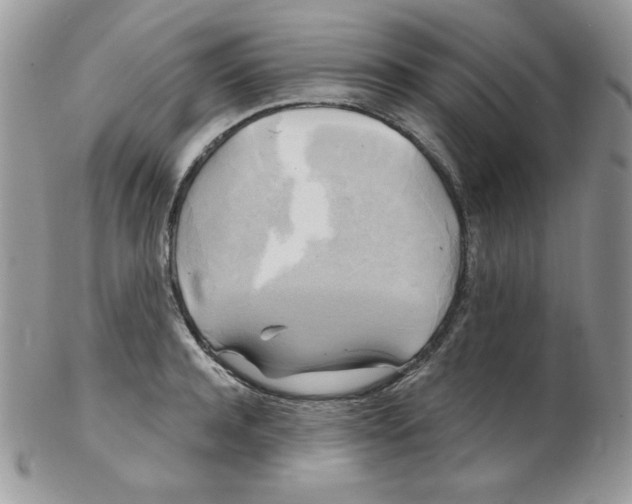 X0000102410944200808221908