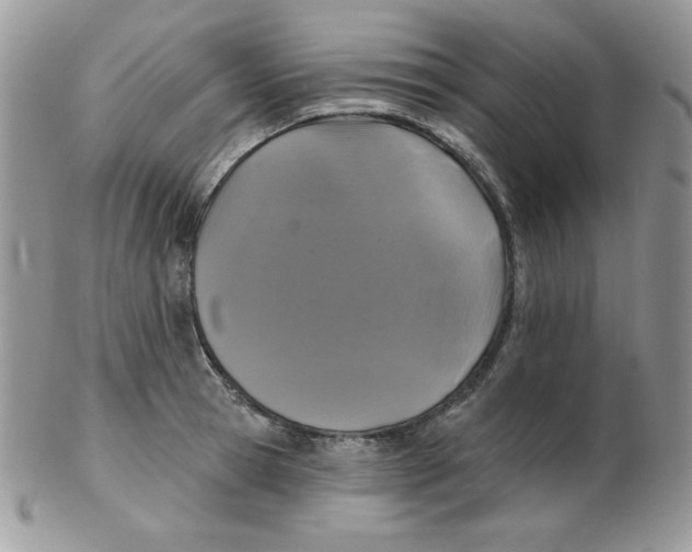 X0000102410945200808221908