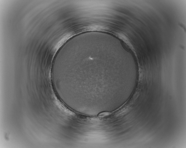 X0000102410946200808221908