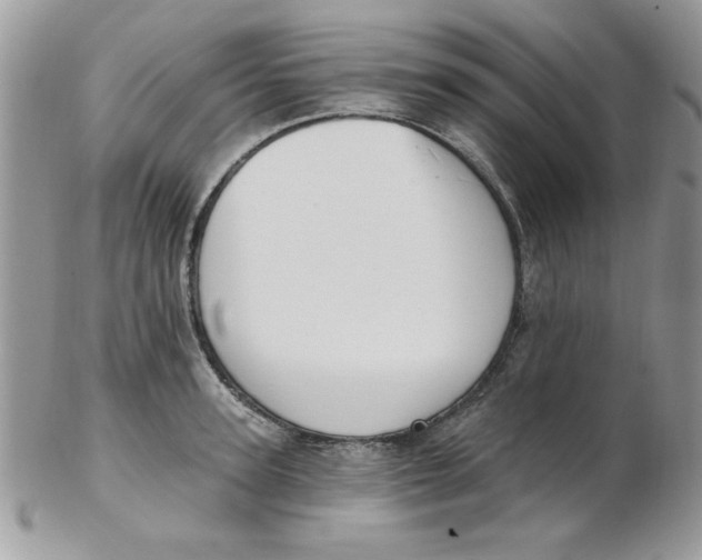 X0000102410947200808221908