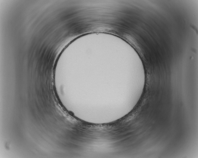 X0000102410948200808221908