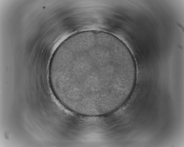 X0000102410949200808221908