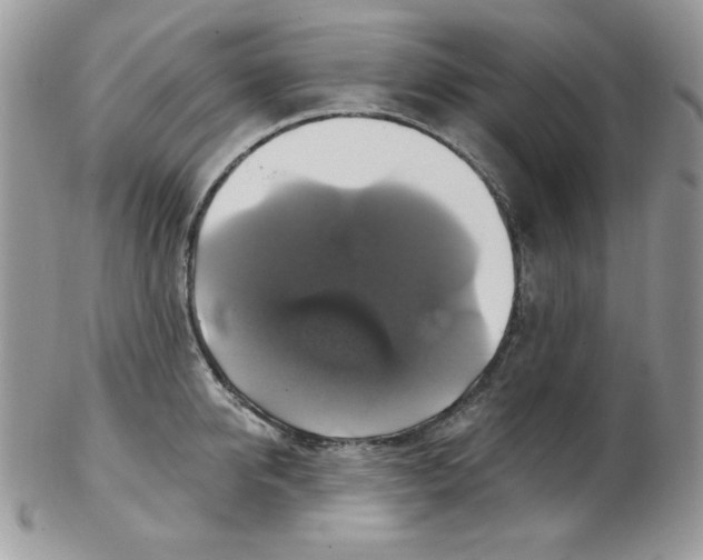 X0000102410950200808221908