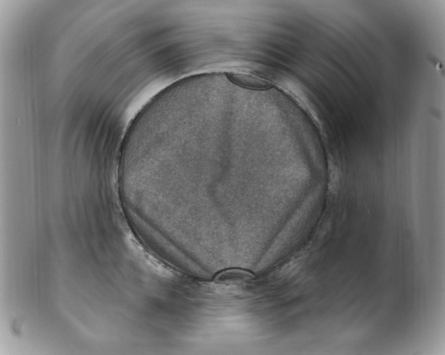 X0000102410952200808221908