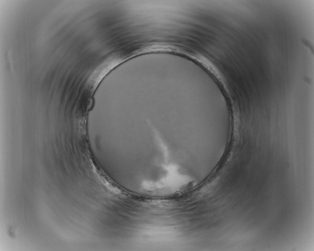 X0000102410953200808221908