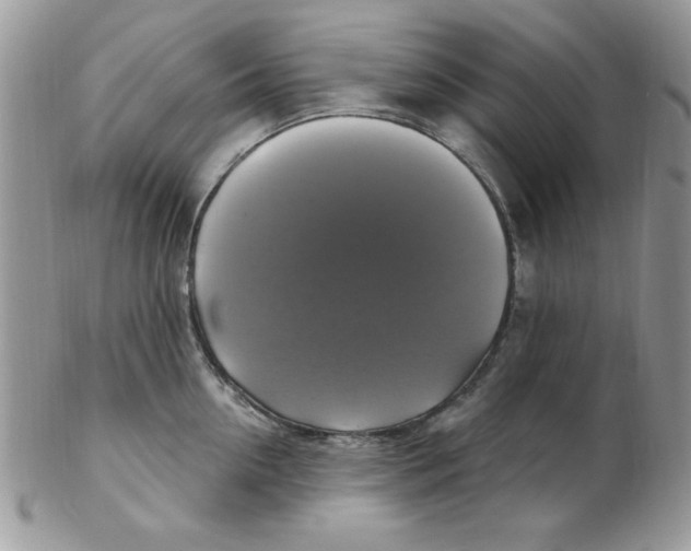 X0000102410954200808221908