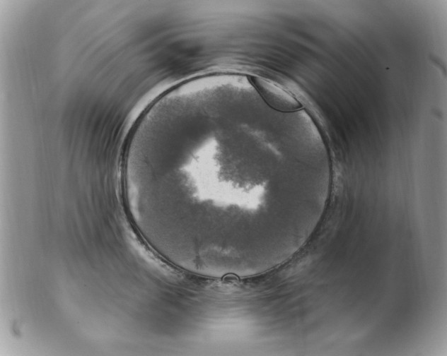 X0000102410955200808221908