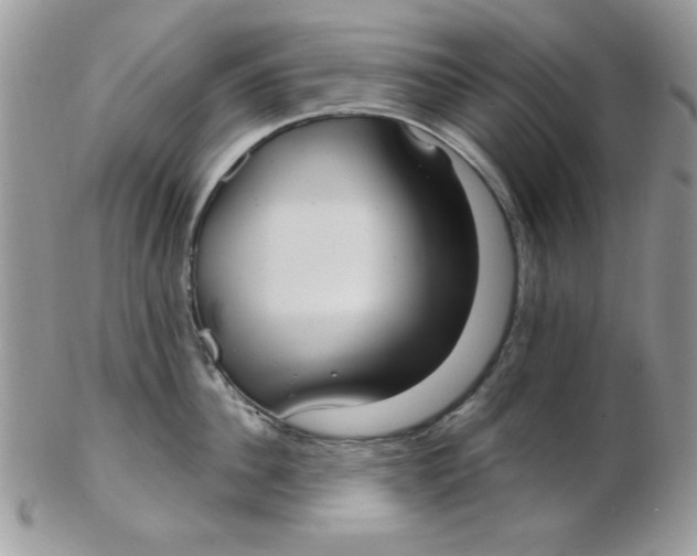 X0000102410956200808221908