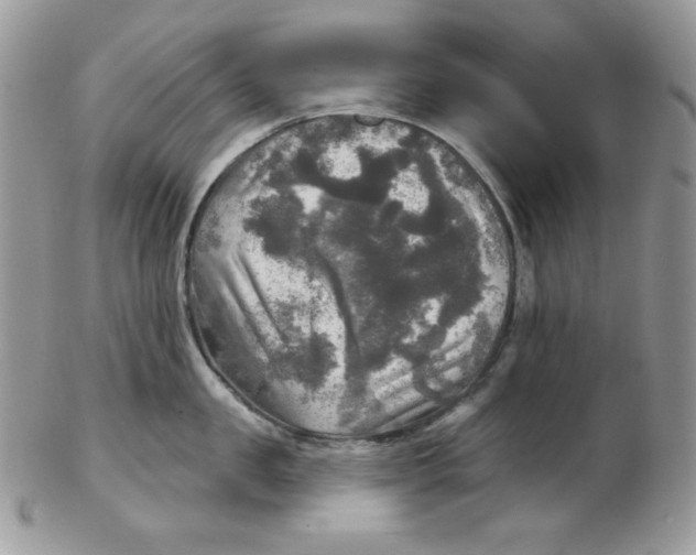 X0000102410957200808221908