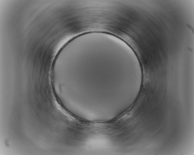 X0000102410958200808221908