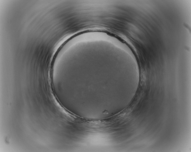 X0000102410959200808221908